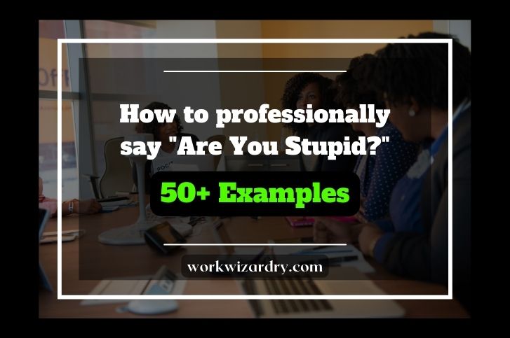 how-to-professionally-say-are-you-stupid